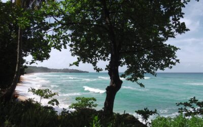 Puerto Plata – Dominikanische Republik