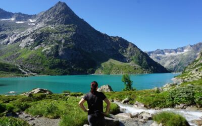 Ein Jahr Schweiz – unser Fazit