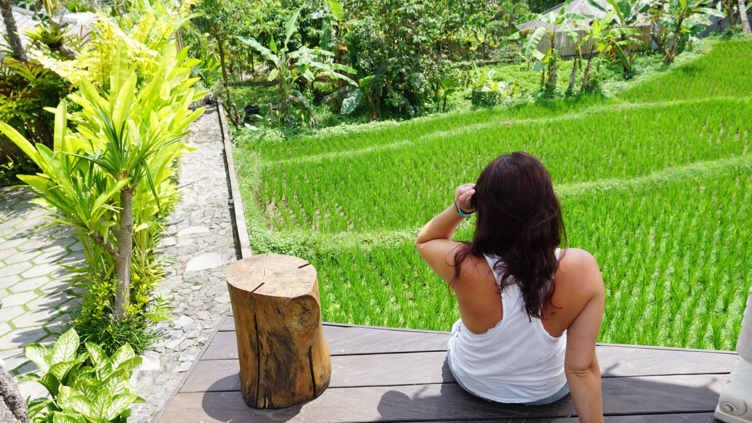 Reisterrassen in Ubud