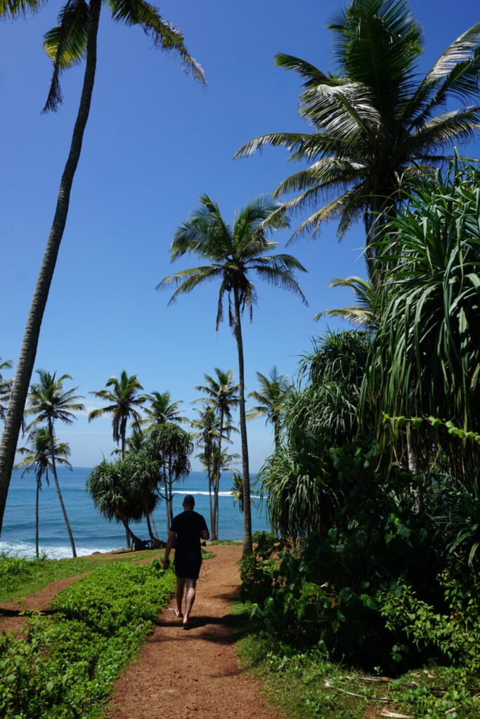 Coconut Tree Hill - Mirissa