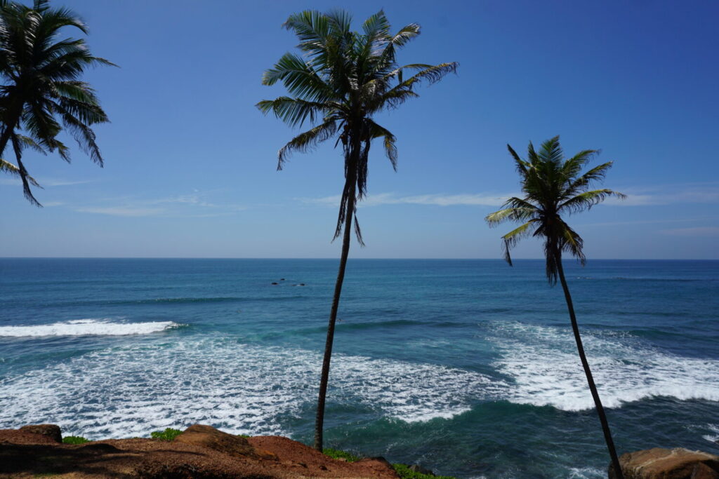 Coconut Tree Hill - Mirissa