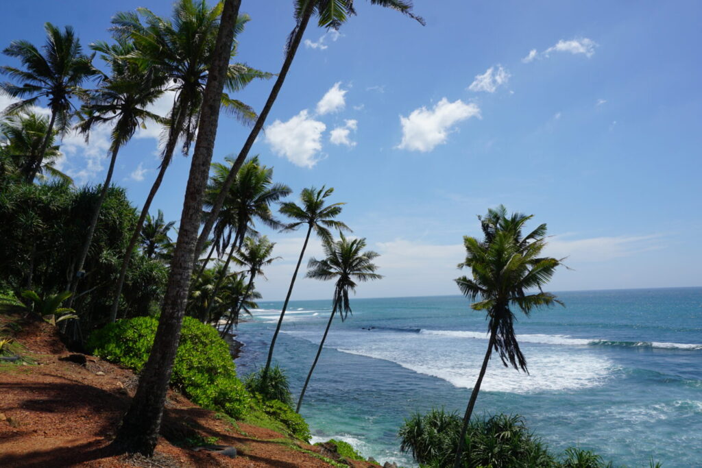 Coconut Tree Hill - Mirissa