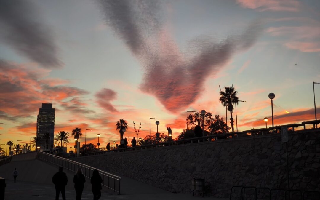 Barcelona City Tour – Sonne, Meer & Gaudís Meisterwerke