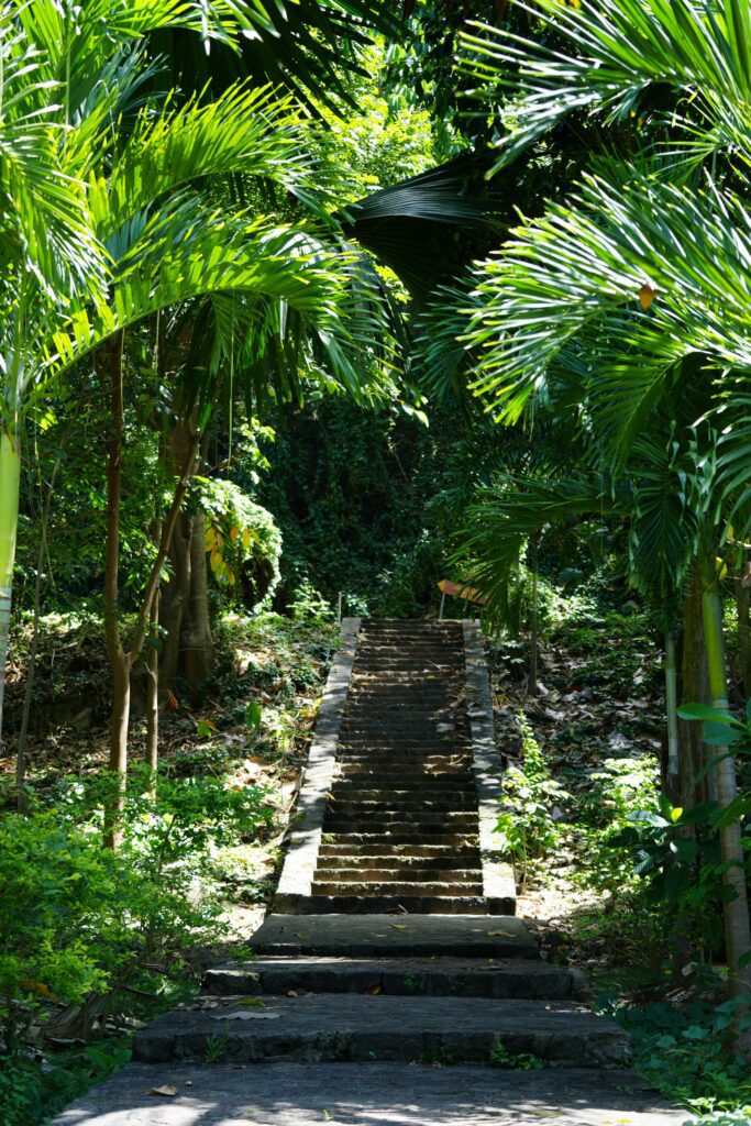 Roseau
